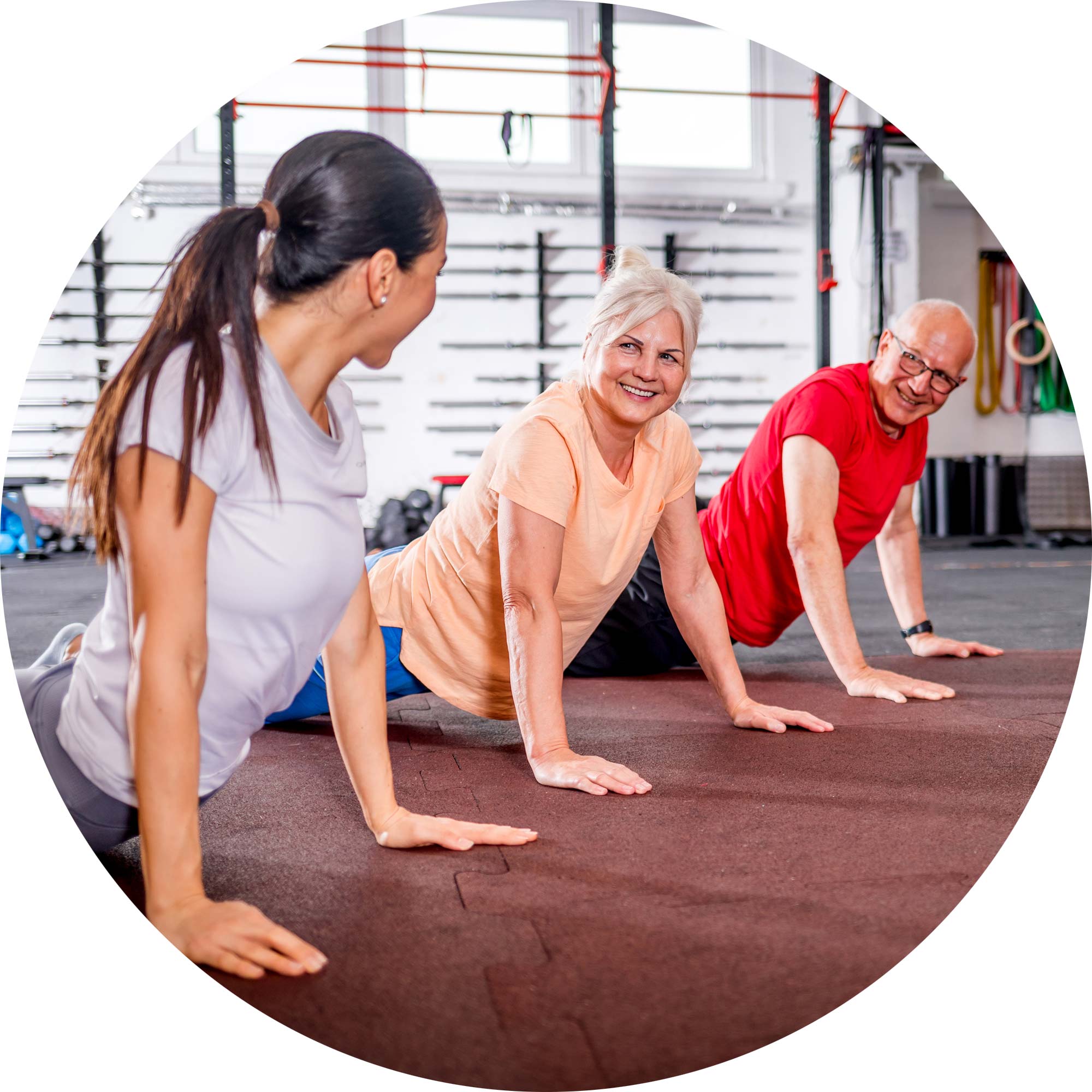 Senior Fitness at Brookdale Fitness Club